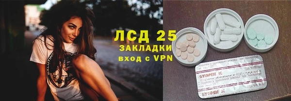 стафф Осинники