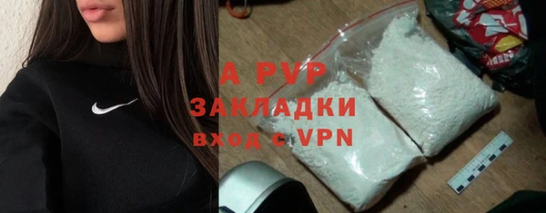 стафф Осинники