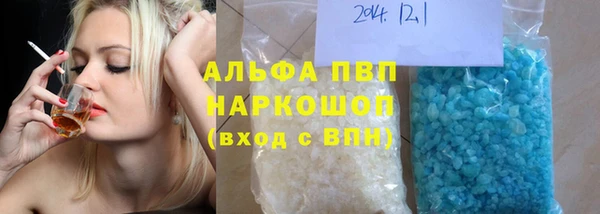 стафф Осинники