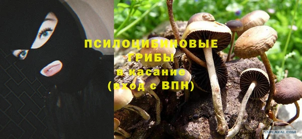 Альфа ПВП Нязепетровск