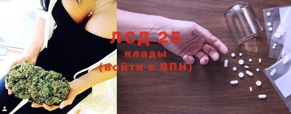 стафф Осинники