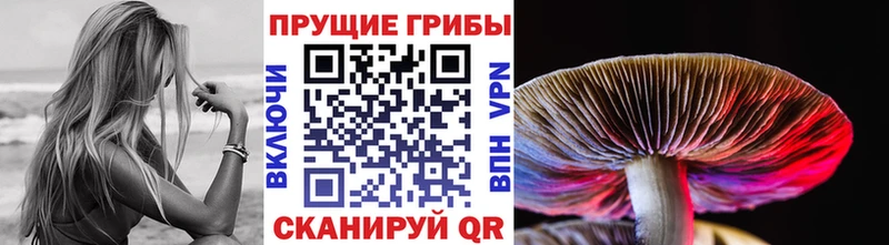 купить наркоту  Северск  Псилоцибиновые грибы мухоморы 