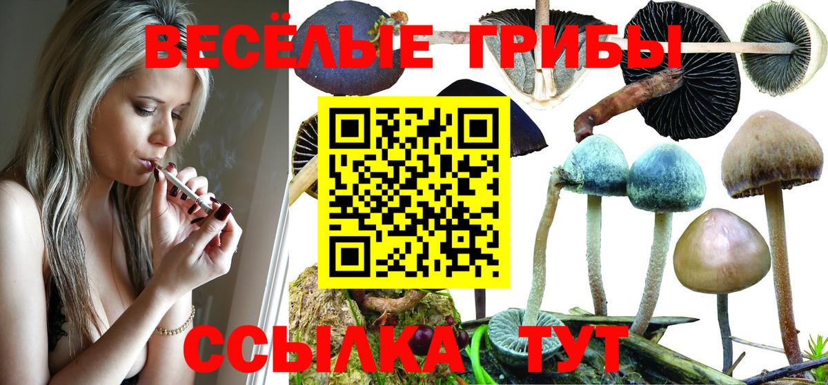 Галлюциногенные грибы GOLDEN TEACHER Северск