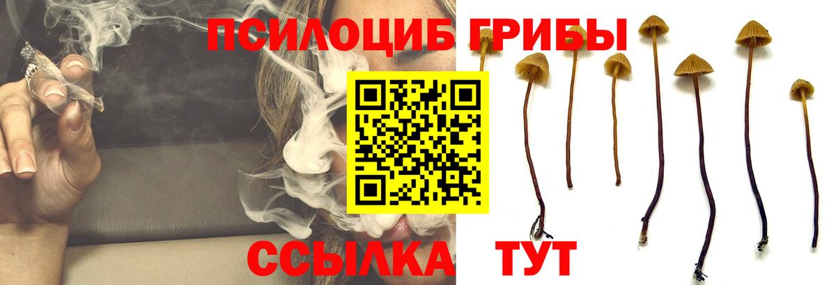 Северск  Псилоцибиновые грибы ЛСД  Галлюциногенные грибы прущие грибы  сколько стоит  Вход с VPN 